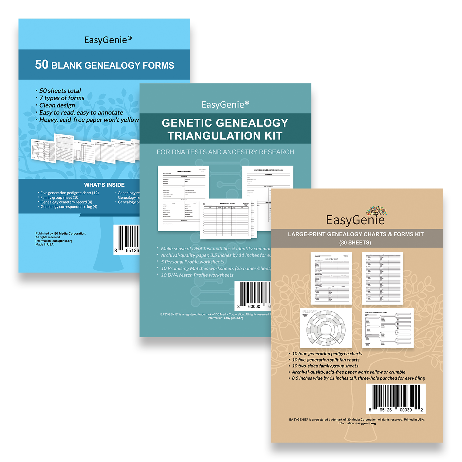 EasyGenie Big Genealogy Charts Bundle with 10-Generation, 8-Generation, and  6-Generation Pedigree Charts and 9-Generation Fan Chart for