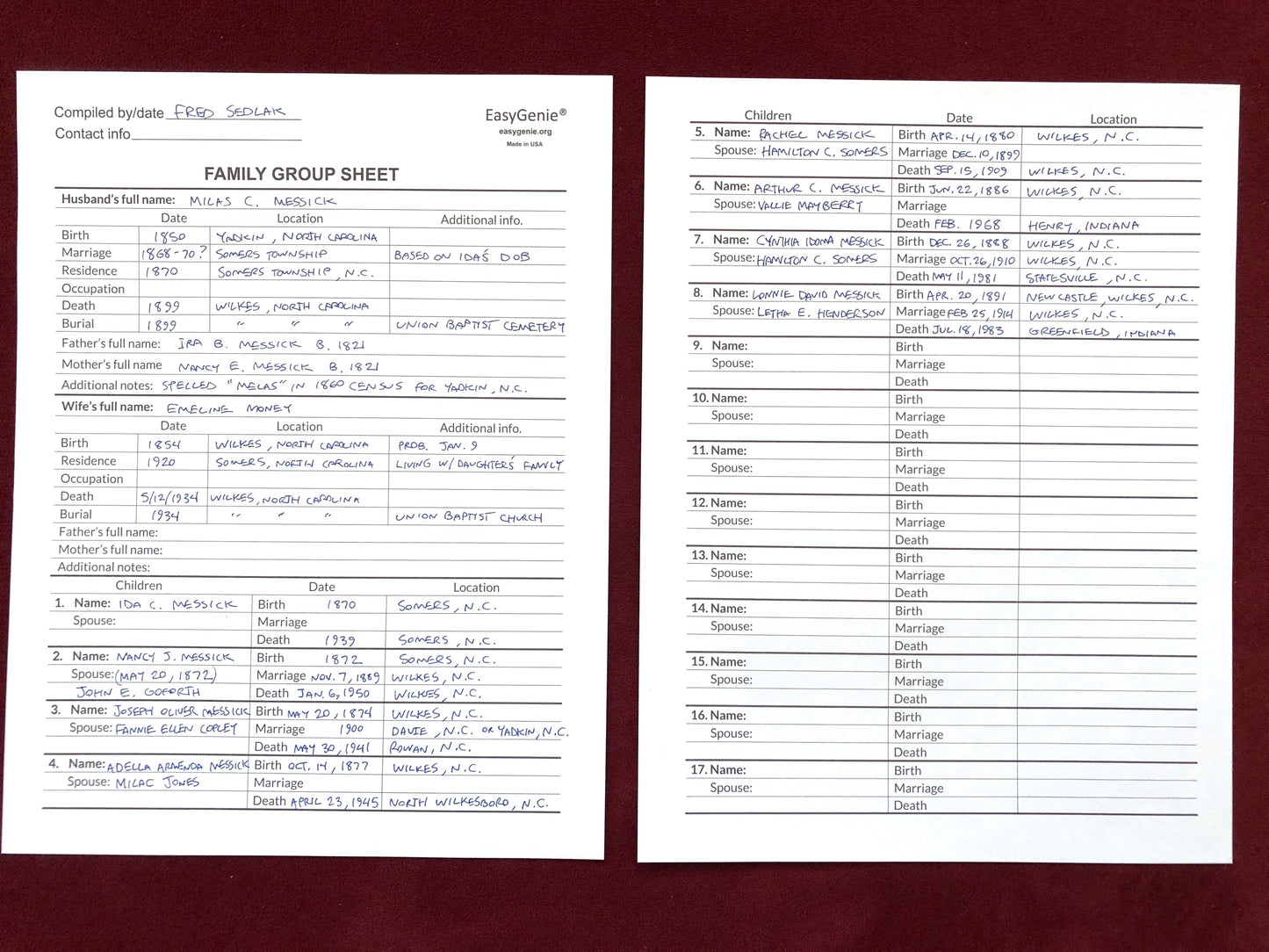 Family Group Sheets for Genealogists (30 LARGE PRINT sheets)
