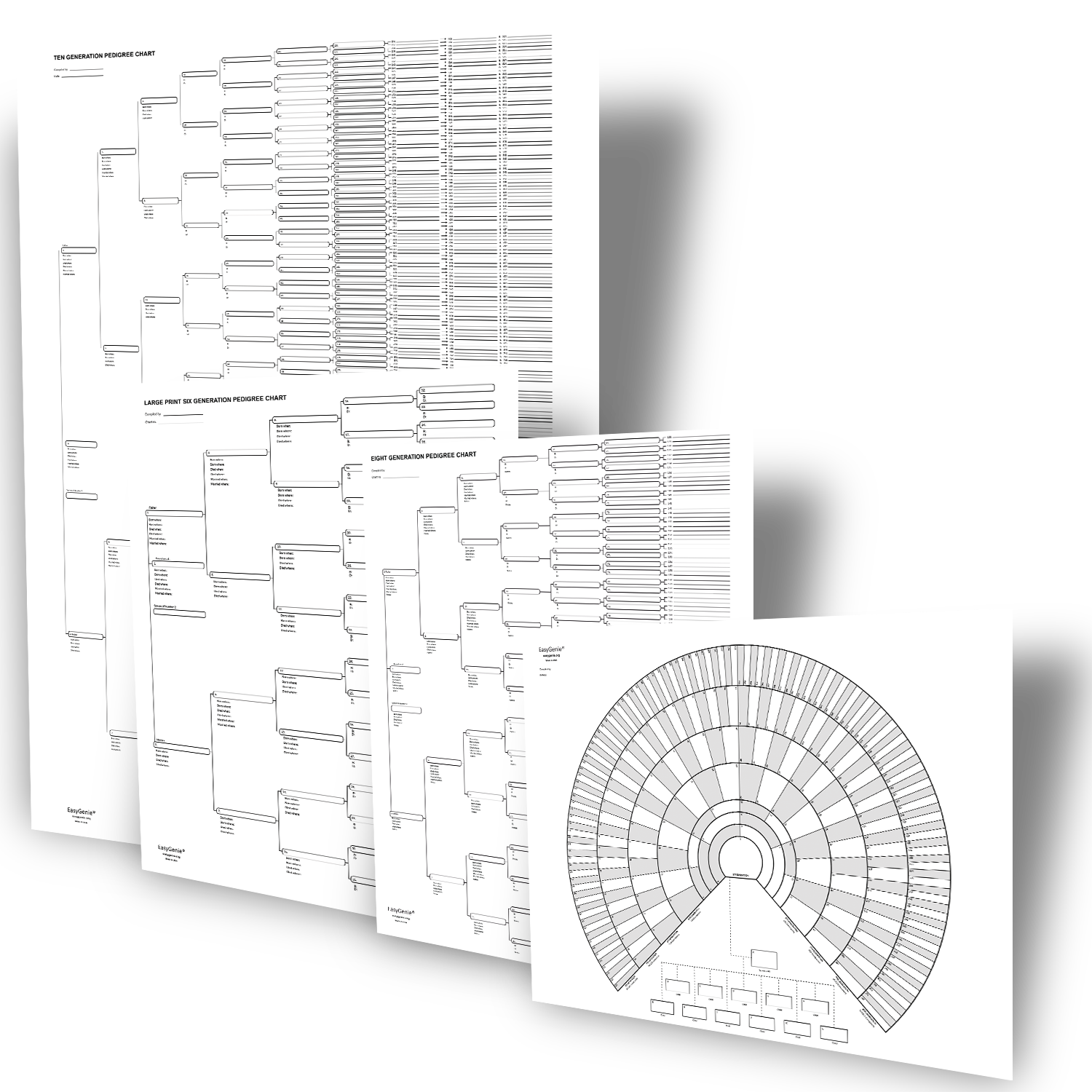 Blank Family Tree Genealogy Charts and Forms (17 x 22 Inches, 15 Pack)